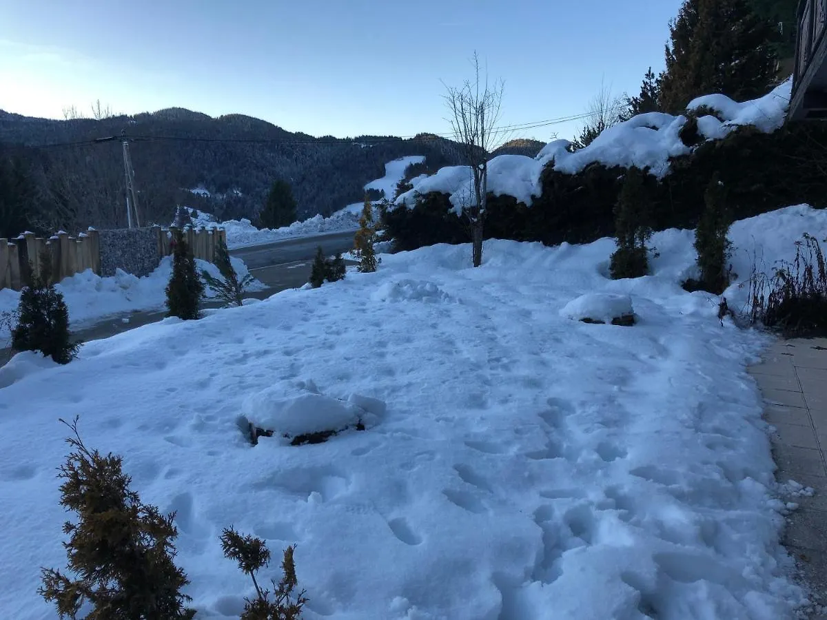 Chalet Les Tulipes Apartment Les Gets